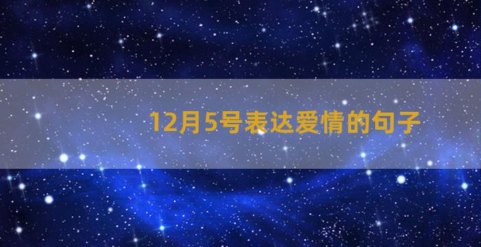 12月5号表达爱情的句子