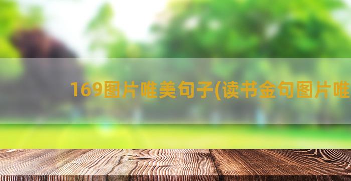 169图片唯美句子(读书金句图片唯美)