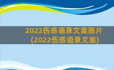 2022伤感语录文案图片(2022伤感语录文案)