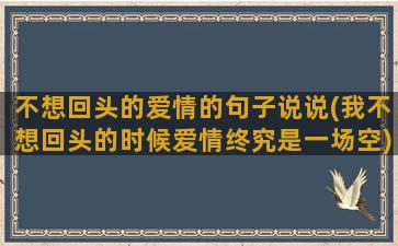 不想回头的爱情的句子说说(我不想回头的时候爱情终究是一场空)