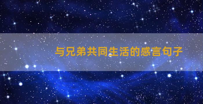 与兄弟共同生活的感言句子