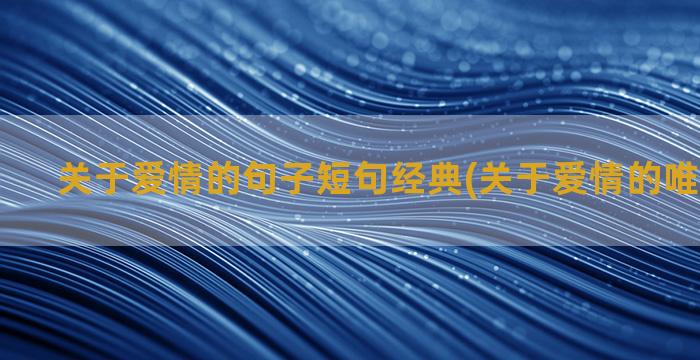 关于爱情的句子短句经典(关于爱情的唯美句子短)