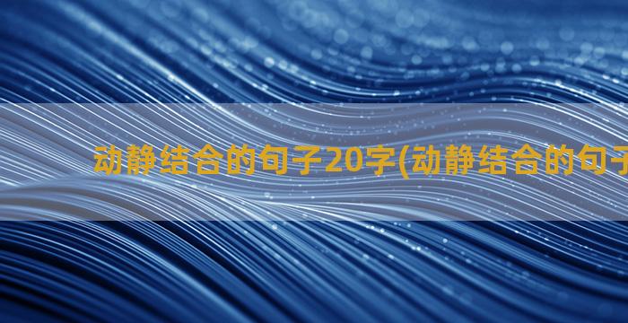 动静结合的句子20字(动静结合的句子200字)