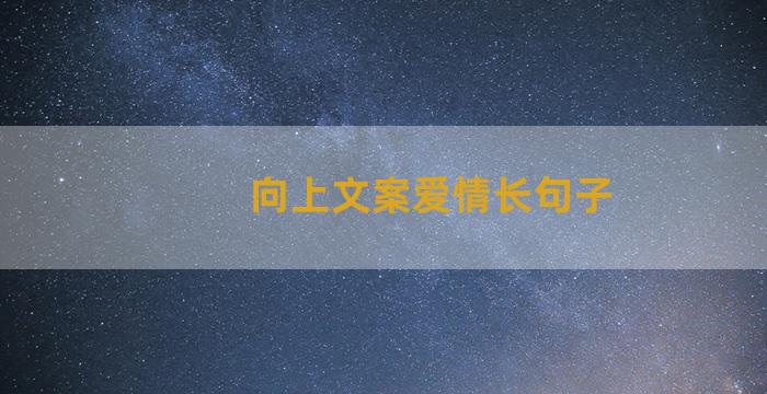 向上文案爱情长句子