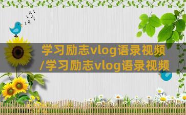 学习励志vlog语录视频/学习励志vlog语录视频