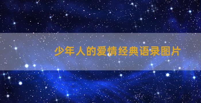 少年人的爱情经典语录图片