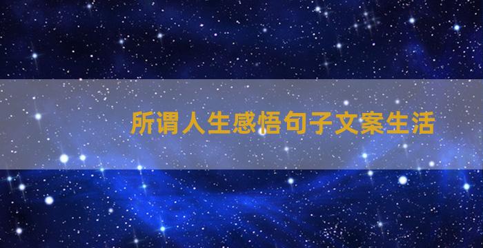 所谓人生感悟句子文案生活