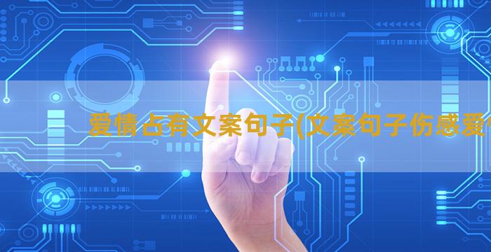 爱情占有文案句子(文案句子伤感爱情)