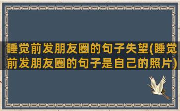 睡觉前发朋友圈的句子失望(睡觉前发朋友圈的句子是自己的照片)