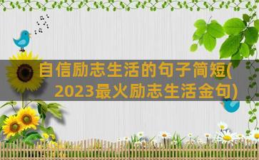 自信励志生活的句子简短(2023最火励志生活金句)