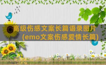 高级伤感文案长篇语录图片(emo文案伤感爱情长篇)